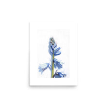 Afbeelding in Gallery-weergave laden, Product mockup