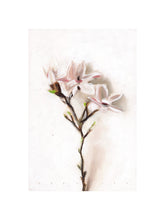 Load image into Gallery viewer, Magnolia Grace
